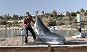 Nicorette: Shark: Animation Director